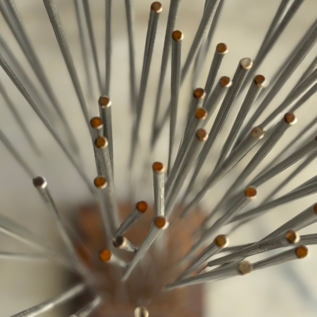 thicket of tall reeds
